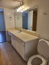 208 Village N Dr in Richardson, TX - Building Photo - Building Photo