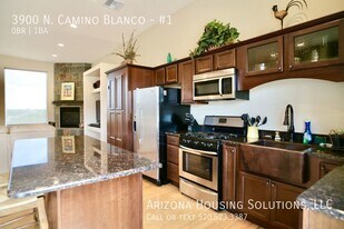 3900 N Camino Blanco in Tucson, AZ - Building Photo
