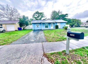 3409 Vorden St in New Port Richey, FL - Building Photo - Building Photo