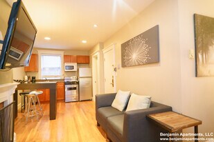 16 Cedar Ln Way, Unit 2 in Boston, MA - Building Photo