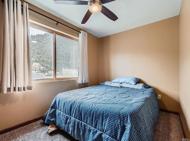 4 Virginia St in Idaho Springs, CO - Building Photo - Building Photo