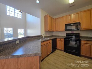 10619 Trolley Run Dr in Cornelius, NC - Building Photo - Building Photo