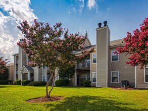 Latitudes Apartments in Virginia Beach, VA - Foto de edificio - Building Photo