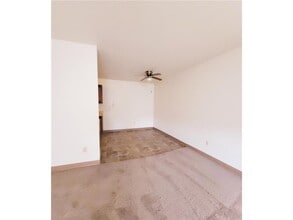 528 N Grant St in Blue Earth, MN - Building Photo - Building Photo