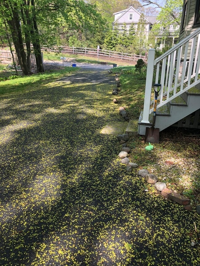 52 Pleasant St, Unit #2