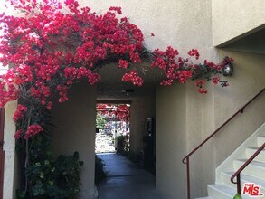 1731 Camden Ave in Los Angeles, CA - Building Photo - Building Photo