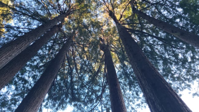 14111 Old Cazadero Rd photo'