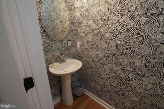 341 Cantrell St in Philadelphia, PA - Building Photo - Building Photo