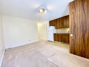 1036 Green St in Honolulu, HI - Foto de edificio - Building Photo