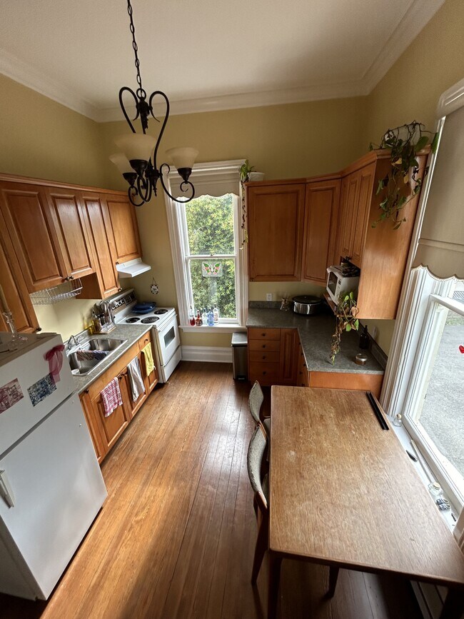 146 Clarence St in Victoria, BC - Building Photo - Building Photo