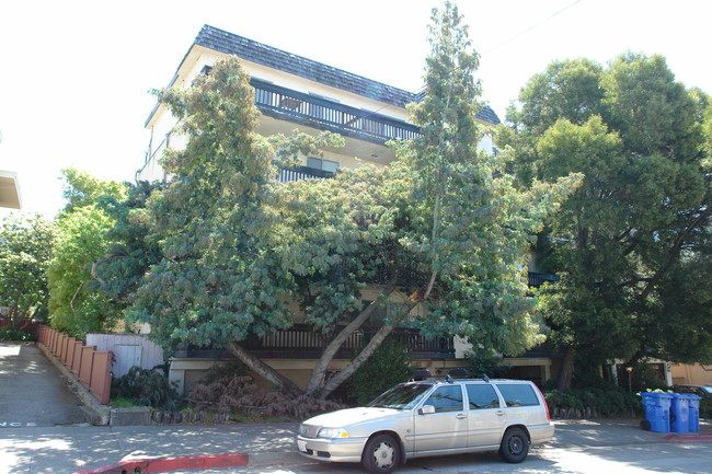 1541 Oxford St in Berkeley, CA - Foto de edificio - Building Photo