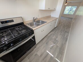 11752 Coldbrook Ave in Downey, CA - Building Photo - Building Photo