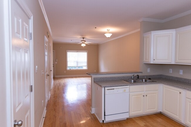 460 Barnett Shoals Rd in Athens, GA - Building Photo - Building Photo