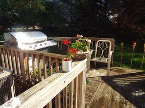 1336 Summersweet Ln in Bartlett, IL - Building Photo - Building Photo