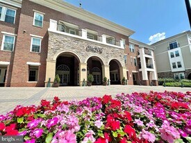 2465 Army Navy Dr, Unit 1310 in Arlington, VA - Building Photo