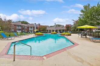 The Nova Apartments in Memphis, TN - Building Photo - Building Photo