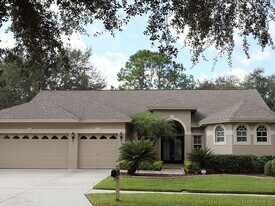 19137 Wind Dancer St in Lutz, FL - Building Photo