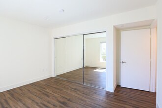 11811 Dorothy St in Los Angeles, CA - Building Photo - Building Photo