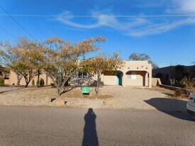 2915 La Mesilla Cir in Las Cruces, NM - Building Photo
