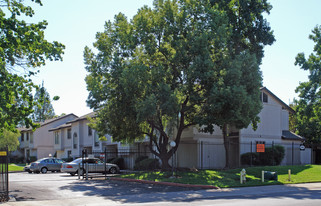 College Oak Townhomes