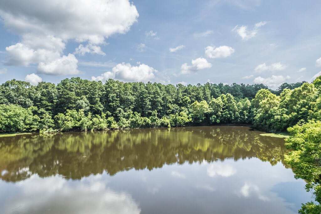 Shadow Lake Apartments Flowood, MS Apartments