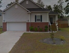 524 Plymouth Pass Dr in Lexington, SC - Building Photo