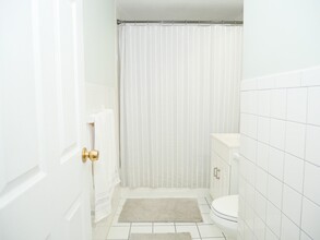 43 E Springfield St, Unit 4 in Boston, MA - Building Photo - Building Photo