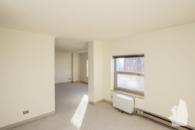 28 W Chestnut St, Unit 28A in Chicago, IL - Building Photo - Building Photo