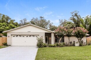 17507 Cranbrook Dr in Lutz, FL - Building Photo