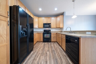 11816 Emery Village Dr N in Champlin, MN - Building Photo - Building Photo