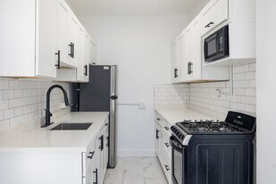 The Onyx on Carmen in Chicago, IL - Building Photo