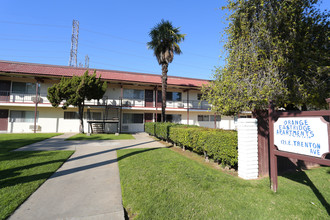 121 E Trenton Ave in Orange, CA - Building Photo - Building Photo