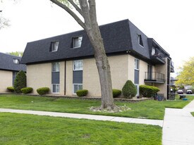 11112 S 84th Ave in Palos Hills, IL - Building Photo