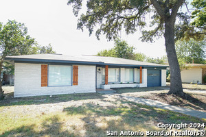 56 Ewing Pl in San Antonio, TX - Foto de edificio - Building Photo