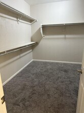 3453 N San Marin Dr in Florence, AZ - Building Photo - Building Photo