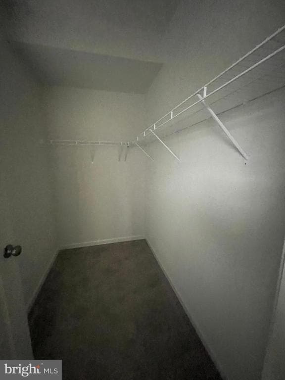 301 Starry Way Dr in Stephenson, VA - Building Photo - Building Photo