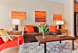 Cielo in Charlotte, NC - Building Photo - Interior Photo