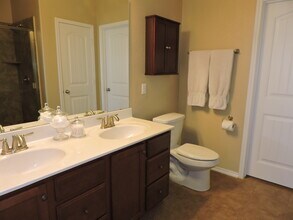 1507 Crested Butte Way in Georgetown, TX - Building Photo - Building Photo