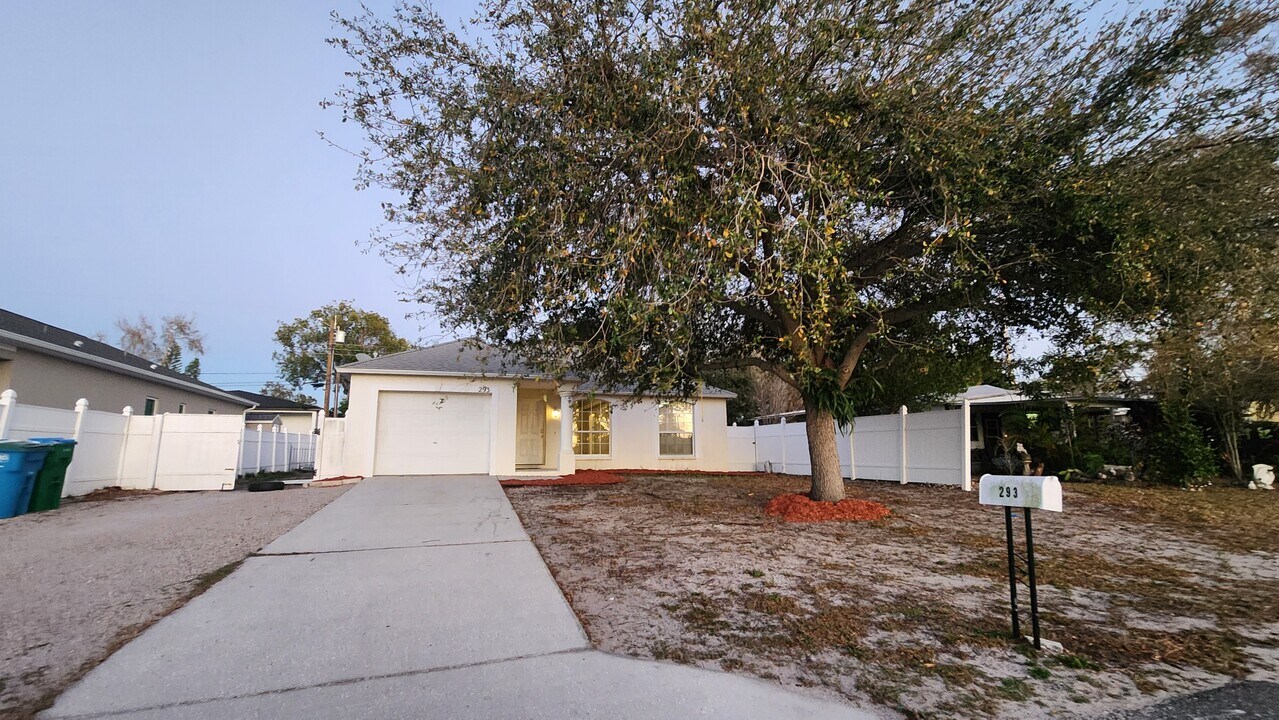 293 Aristotle St in Dunedin, FL - Building Photo