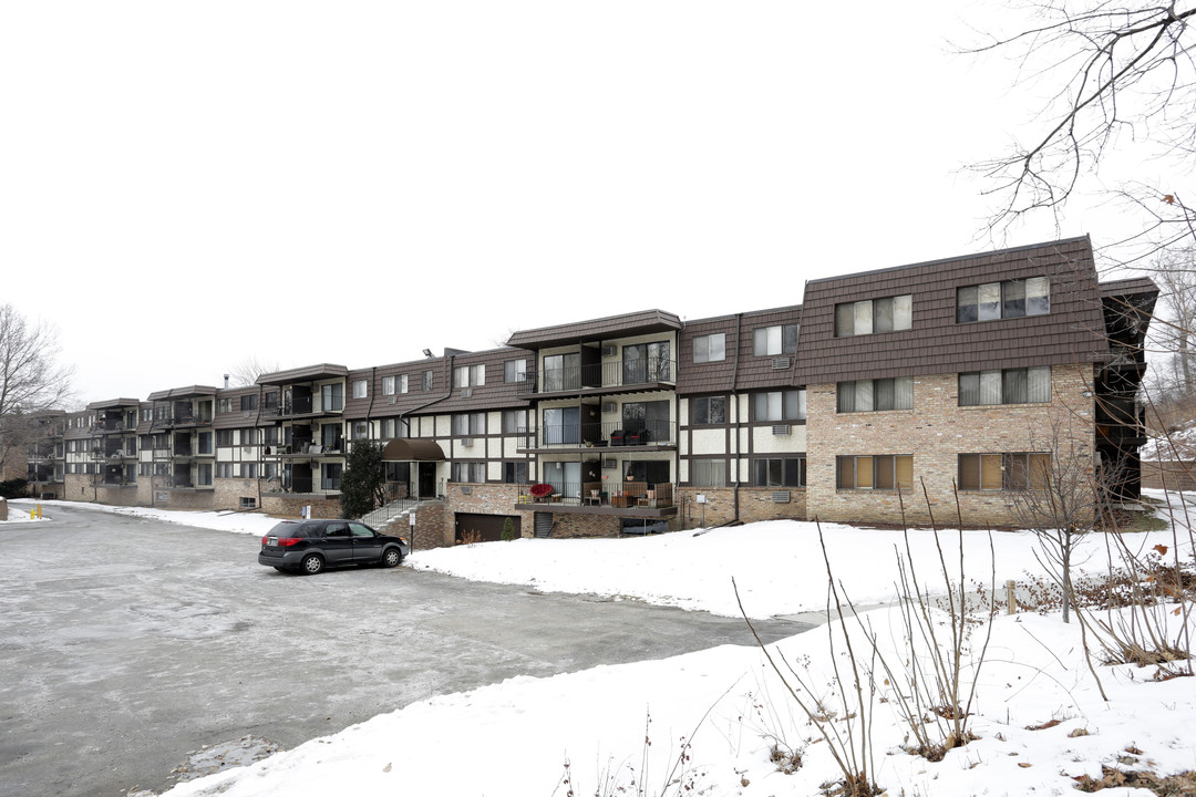 Wayzata Villa Condos in Wayzata, MN - Foto de edificio