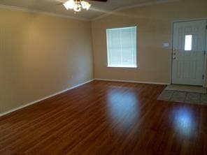 113 San Jacinto Dr in Kyle, TX - Building Photo - Building Photo