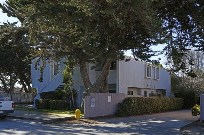 182 Paddon Pl in Marina, CA - Foto de edificio - Building Photo