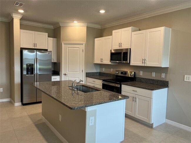 31864 Blue Passing Loop in Wesley Chapel, FL - Building Photo - Building Photo