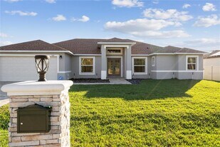 1160 Nelson Meadow Ln in Kissimmee, FL - Building Photo
