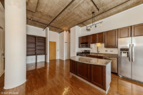 111 S Morgan St, Unit 821 in Chicago, IL - Building Photo - Building Photo