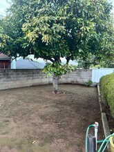 421 Fresno Ave in Morro Bay, CA - Building Photo - Building Photo