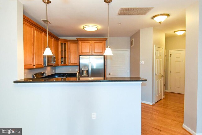 3750 Clara Downey Ave in Silver Spring, MD - Building Photo - Building Photo