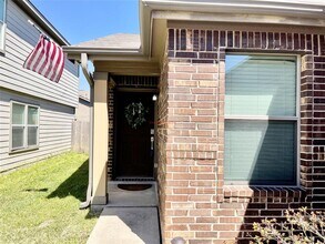 18722 White Barnwood Ct in Cypress, TX - Building Photo - Building Photo