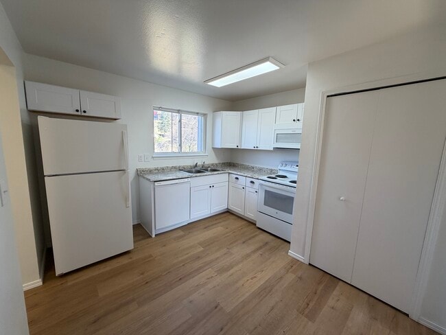 579 Winnie Way in Colorado Springs, CO - Foto de edificio - Building Photo