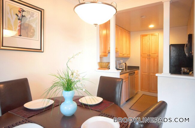 563 VFW Parkway in Chestnut Hill, MA - Foto de edificio - Building Photo